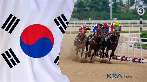 seoul horse racing tips|Horse Racing in Korea .